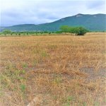 Satılır Torpaq Quba 1