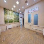 Kirayə (aylıq) 16 otaqlı Ofis, 28 May metrosu, Nəsimi rayonu 4