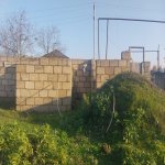 Satılır Torpaq Şabran 2