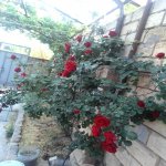 Satılır 3 otaqlı Həyət evi/villa Sumqayıt 8