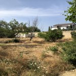 Satılır Torpaq, Saray, Abşeron rayonu 14