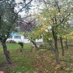 Satılır 4 otaqlı Bağ evi Xaçmaz 11