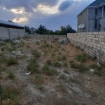 Satılır Torpaq, Saray, Abşeron rayonu 9