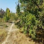 Satılır 6 otaqlı Həyət evi/villa, Novxanı, Abşeron rayonu 14