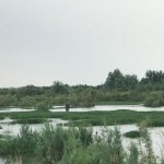Satılır Obyekt Saatlı 13
