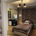 Satılır 3 otaqlı Yeni Tikili, Neftçilər metrosu, Bakıxanov qəs., Sabunçu rayonu 6