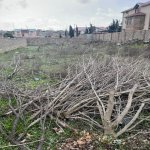 Satılır Torpaq, Dübəndi, Xəzər rayonu 3