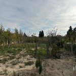 Satılır Torpaq, Mərdəkan, Xəzər rayonu 5