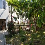 Satılır 4 otaqlı Həyət evi/villa, Saray, Abşeron rayonu 14