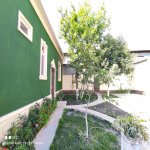 Kirayə (günlük) 4 otaqlı Həyət evi/villa Qəbələ 9