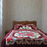 Kirayə (günlük) 3 otaqlı Həyət evi/villa Qəbələ 5