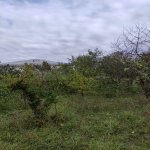 Satılır Torpaq Qusar 1