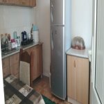Kirayə (günlük) 2 otaqlı Bağ evi Lerik 2