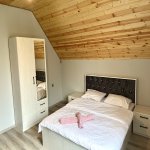 Kirayə (günlük) 4 otaqlı Həyət evi/villa Qəbələ 11
