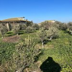 Satılır 5 otaqlı Bağ evi, Bilgəh qəs., Sabunçu rayonu 26