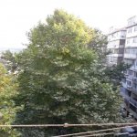 Satılır 3 otaqlı Köhnə Tikili, Elmlər akademiyası metrosu, Yasamal qəs., Yasamal rayonu 1