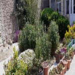 Satılır 5 otaqlı Bağ evi, Mərdəkan, Xəzər rayonu 15