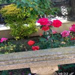 Kirayə (aylıq) 5 otaqlı Bağ evi, Novxanı, Abşeron rayonu 12