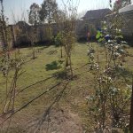 Satılır 4 otaqlı Həyət evi/villa Lənkəran 4