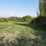 Satılır Torpaq Qəbələ 8