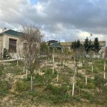 Satılır Torpaq, Mərdəkan, Xəzər rayonu 5