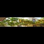 Satılır 4 otaqlı Həyət evi/villa, Buzovna, Xəzər rayonu 12