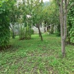 Kirayə (günlük) 3 otaqlı Həyət evi/villa Qax 2