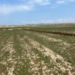 Satılır Torpaq, Masazır, Abşeron rayonu 4