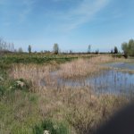 Продажа Участок Хачмаз 69