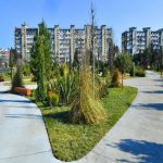 Kirayə (aylıq) 3 otaqlı Köhnə Tikili, İnşaatçılar metrosu, Yasamal rayonu 2