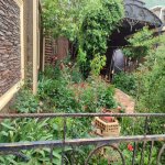 Kirayə (aylıq) 6 otaqlı Bağ evi, Novxanı, Abşeron rayonu 8