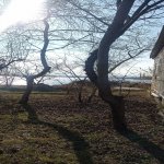 Satılır 4 otaqlı Bağ evi Mingəçevir 7