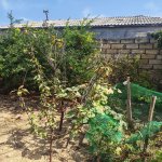 Продажа Участок, Метро Ходжасан метро, пос. Сулутяпя, Бинагадинский р-н район 6