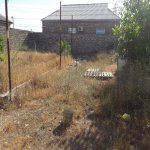 Satılır 1 otaqlı Həyət evi/villa, Abşeron rayonu 5