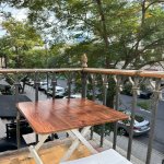 Kirayə (aylıq) 2 otaqlı Köhnə Tikili, Sahil metrosu, Pedaqoji Universiteti, Səbail rayonu 1