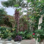 Продажа 7 комнат Дома/Виллы, м. Короглу метро, пос. Сабунчу, Сабунчу район 14