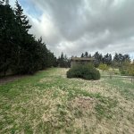 Продажа Участок, Шювалан, Хязяр район 8