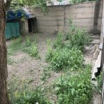 Kirayə (aylıq) 3 otaqlı Həyət evi/villa Naxçıvan MR 9