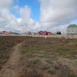 Satılır Torpaq, Yeni Ramana, Sabunçu rayonu 2