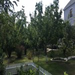 Satılır 6 otaqlı Bağ evi, Novxanı, Abşeron rayonu 20