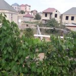 Satılır Torpaq, Masazır, Abşeron rayonu 4
