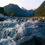 Satılır Torpaq Qəbələ 7