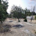 Satılır Torpaq, Saray, Abşeron rayonu 7