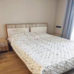 Kirayə (aylıq) 1 otaqlı Yeni Tikili, Sabunçu rayonu 12