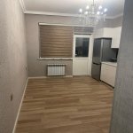 Kirayə (günlük) 3 otaqlı Yeni Tikili, Nəsimi rayonu 8