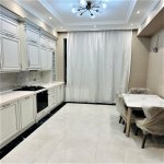 Аренда 3 комнатная Новостройка, м. Гянджлик метро, Насими район 8