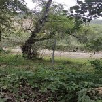 Satılır Torpaq Qusar 5