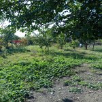 Продажа 2 комнатная Дома/Виллы Губа 5