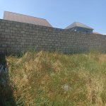 Satılır Torpaq Şəki 6