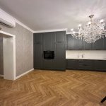 Kirayə (aylıq) 2 otaqlı Yeni Tikili, 28 May metrosu, Nərimanov rayonu 26